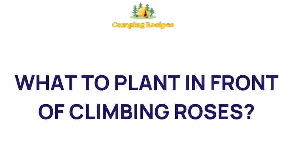 companion-planting-climbing-roses