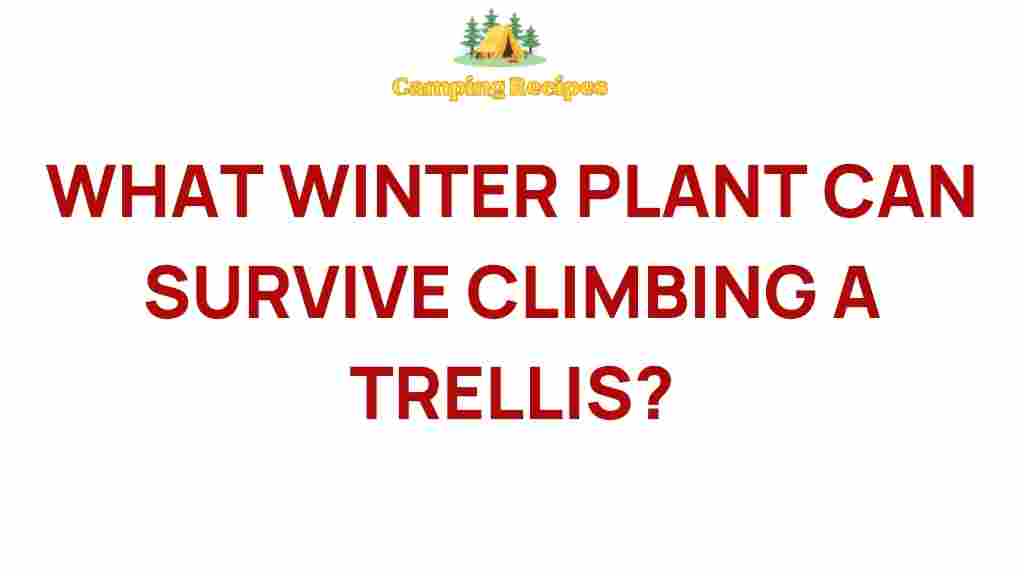 winter-plants-on-trellises