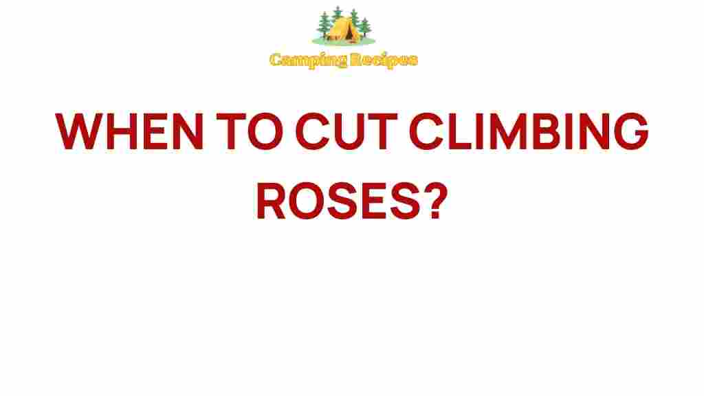 climbing-roses-pruning-tips