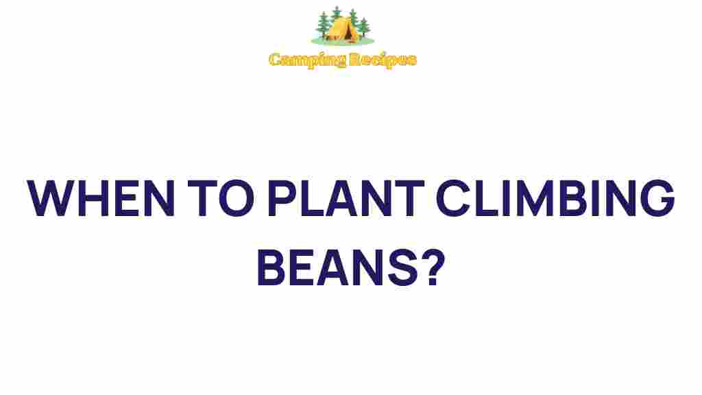 climbing-beans-planting-guide