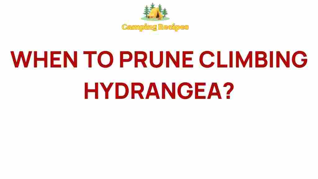 climbing-hydrangea-pruning-tips