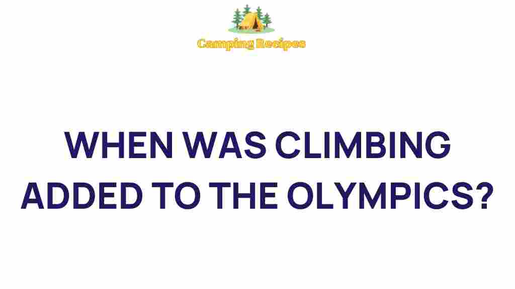 climbing-olympics-debut