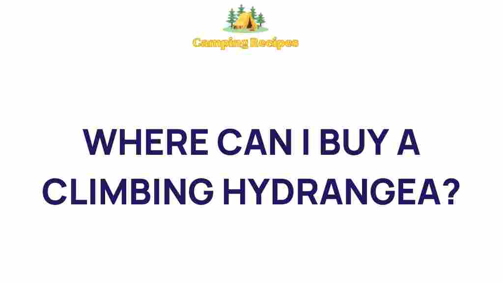 climbing-hydrangea-buying-guide