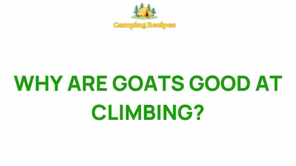 goats-climbing-mastery