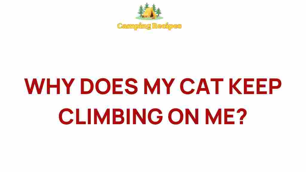 cats-climbing-on-you