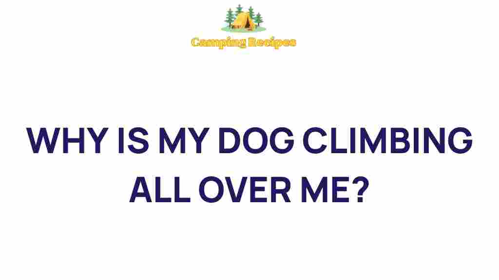 why-is-my-dog-climbing