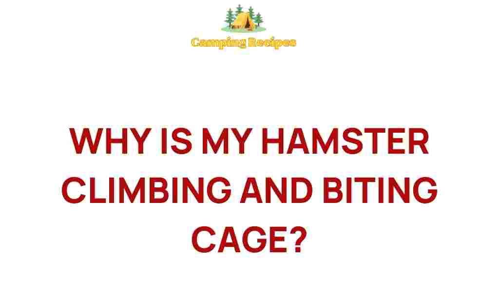 hamster-behavior-climbing-biting
